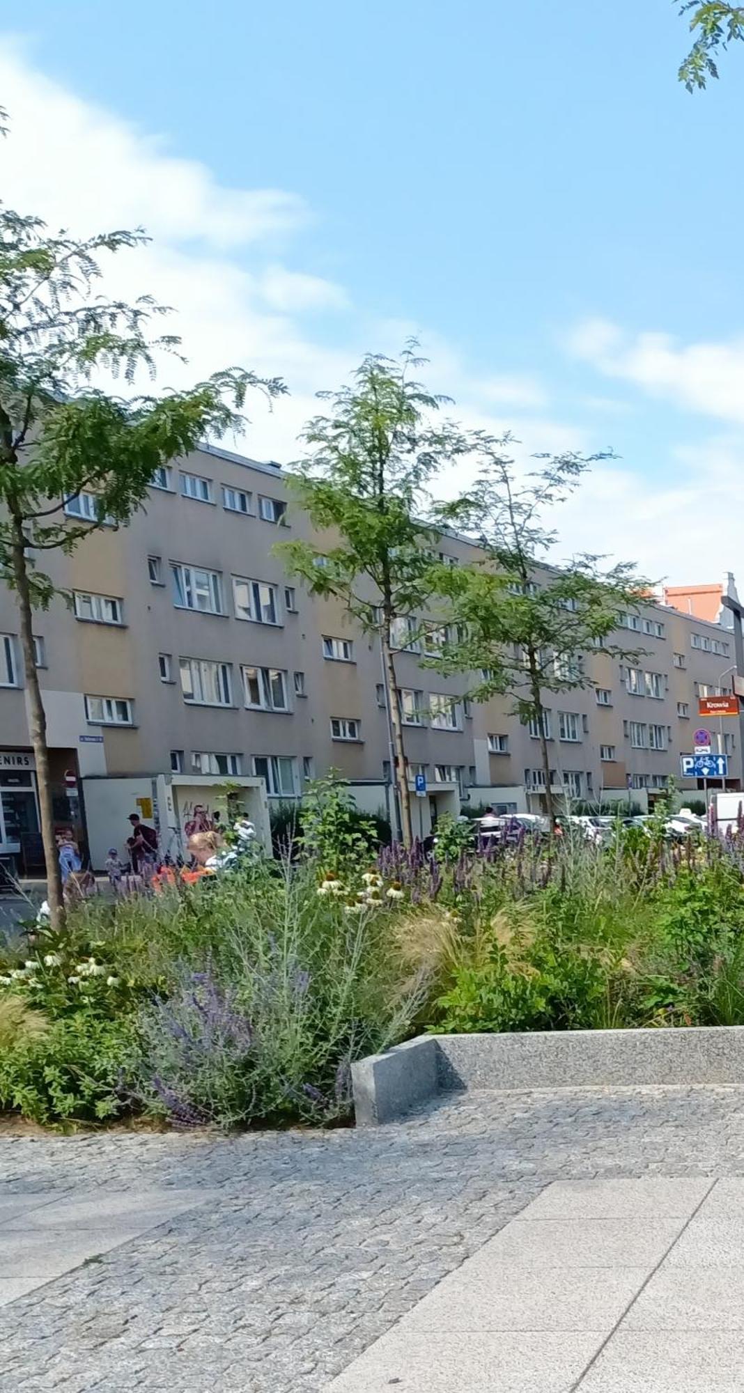 Kotlarska Apartment Breslavia Esterno foto